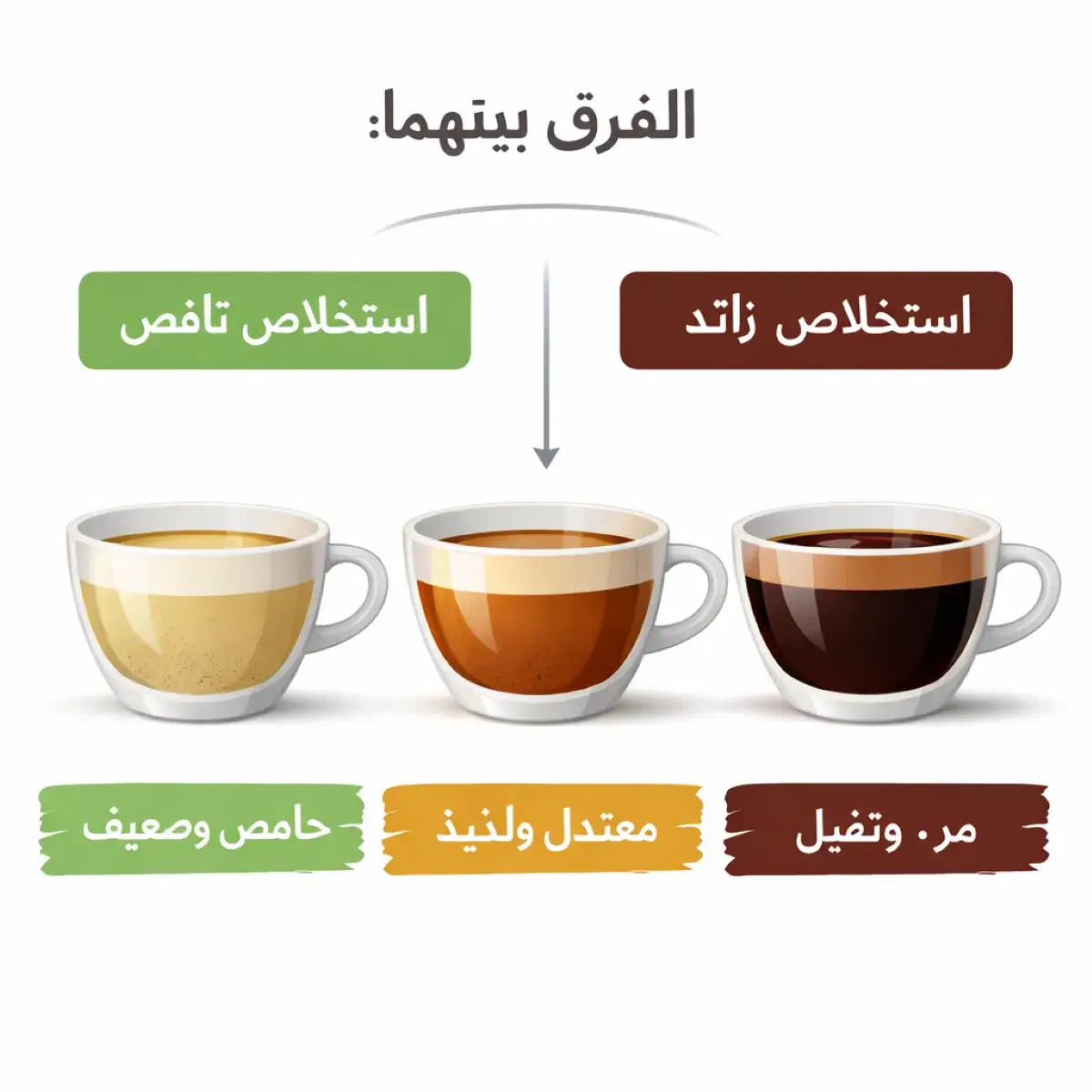 مقارنة بين الاستخلاص الزائد والناقص في القهوة
